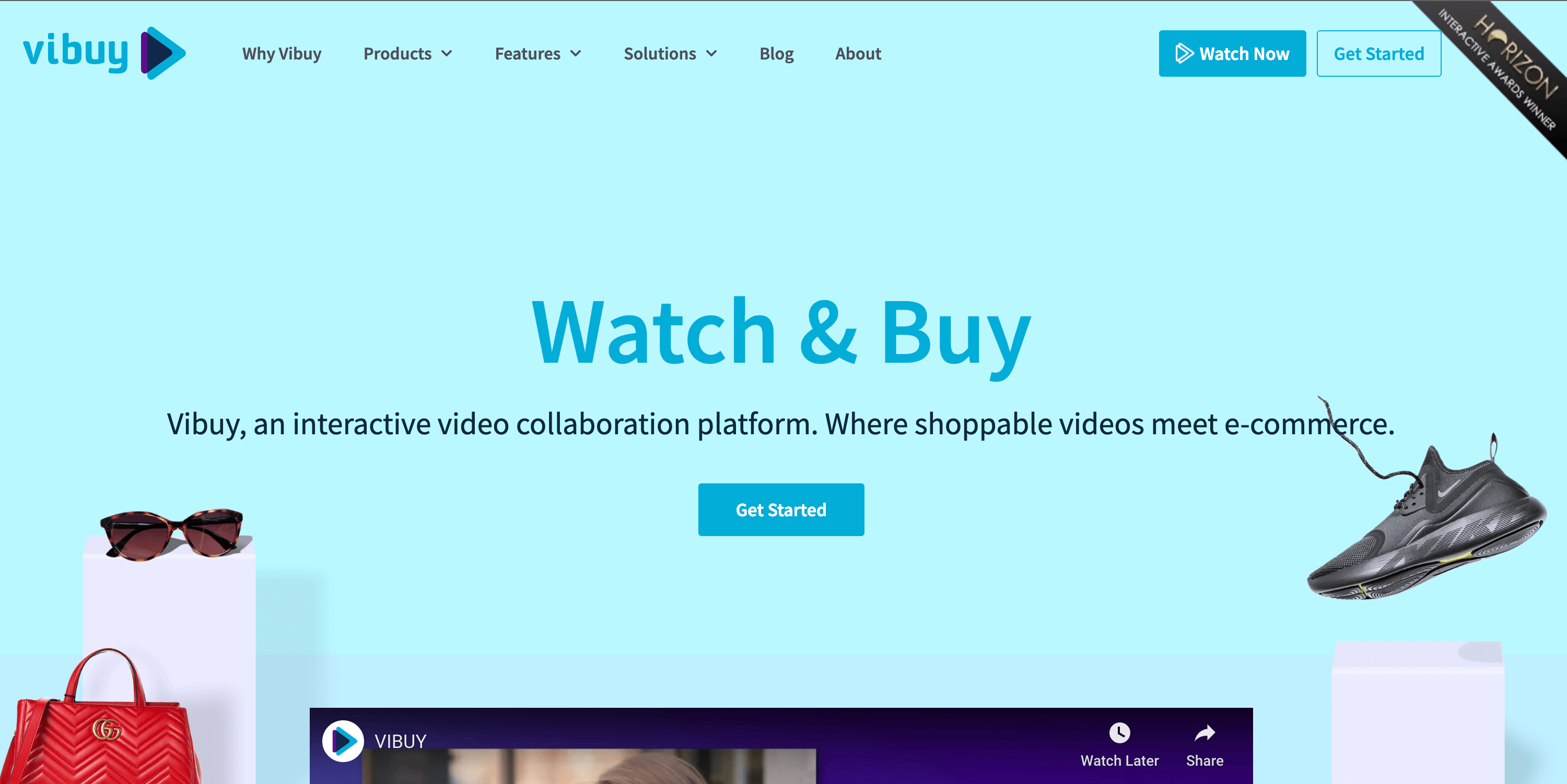 ViBuy Company Site